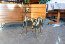 Load image into Gallery viewer, Set of Large Brass Deer
