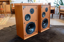Load image into Gallery viewer, Vintage Celestion Ditton 33 Speakers
