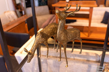Load image into Gallery viewer, Vintage Brass Deer Pair
