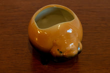 Load image into Gallery viewer, Ceramic Pig Mini Pot
